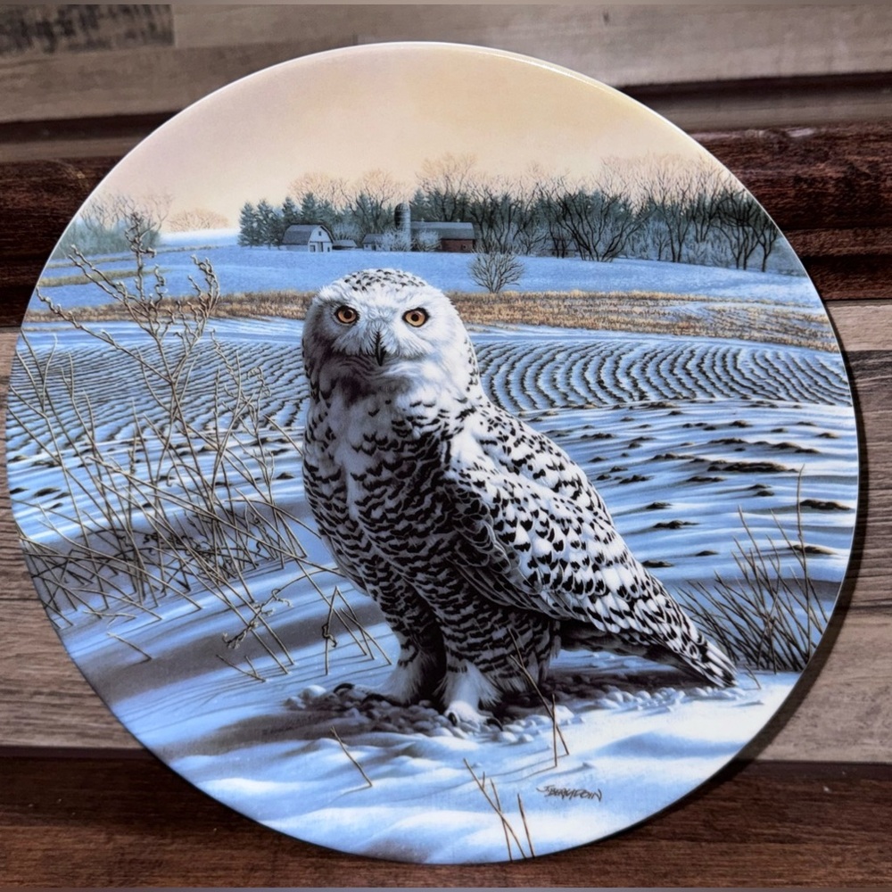 Vintage Knowles "The Snowy Owl" by Jim Beaudoin Collector's Plate 8.5”